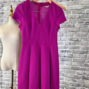 Banana Republic Vibrant Purple Mini Dress